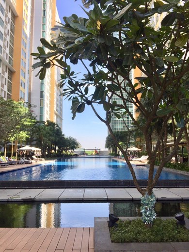 Apartment for rent D203226 (1)